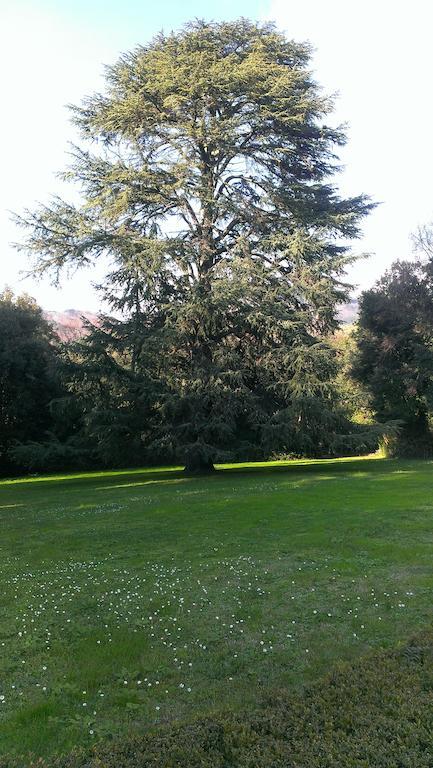 Fattoria Michela Βίλα Matraia Εξωτερικό φωτογραφία